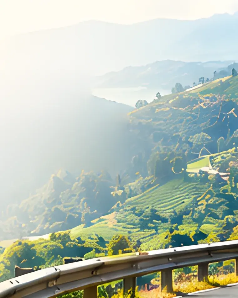 Sunlit tea terraces and misty valleys seen from a hill road in the Nilgiris