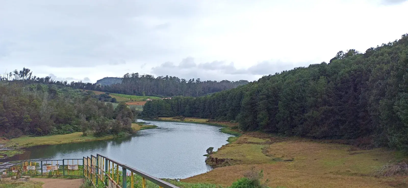 Pykara reservoir winding between pine-covered hills
