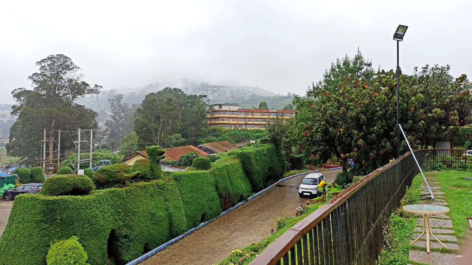 Hedge-lined road with a car winding through Ooty on a misty morning