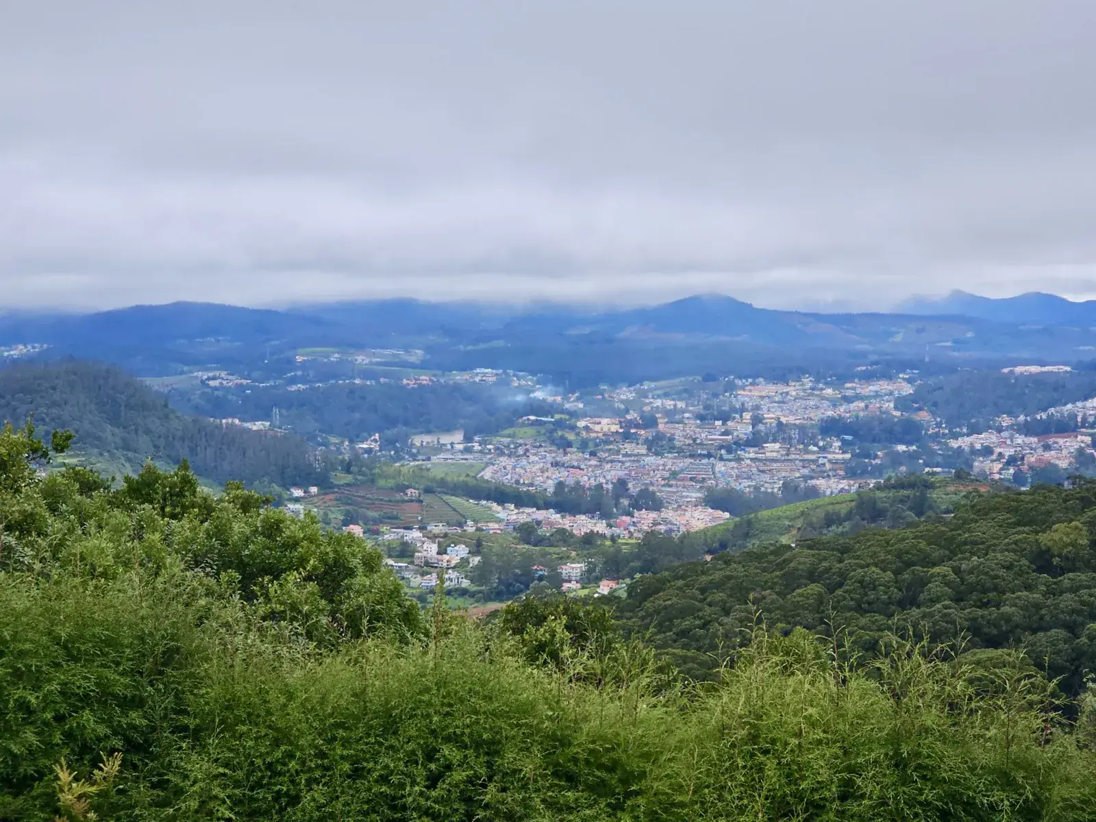 Ooty town spread across the valley, seen from the forest near Doddabetta Peak