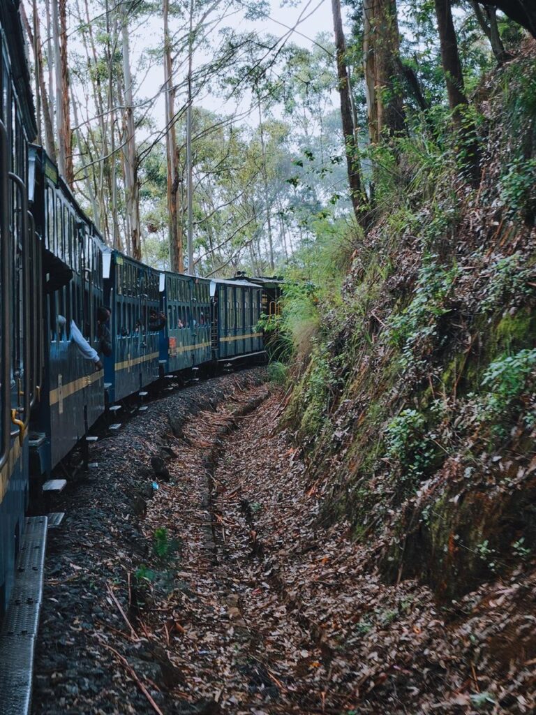 ooty-tour-17